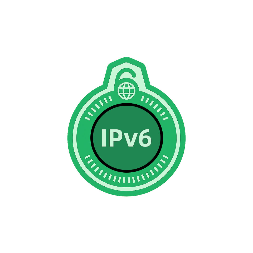 IPv6 Support
